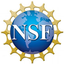 nsf-logo.jpg